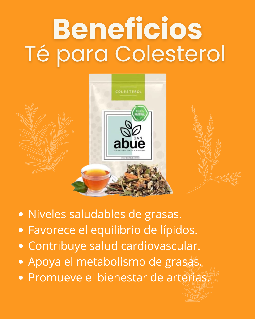 te de hierbas para colesterol y trigliceridos beneficios