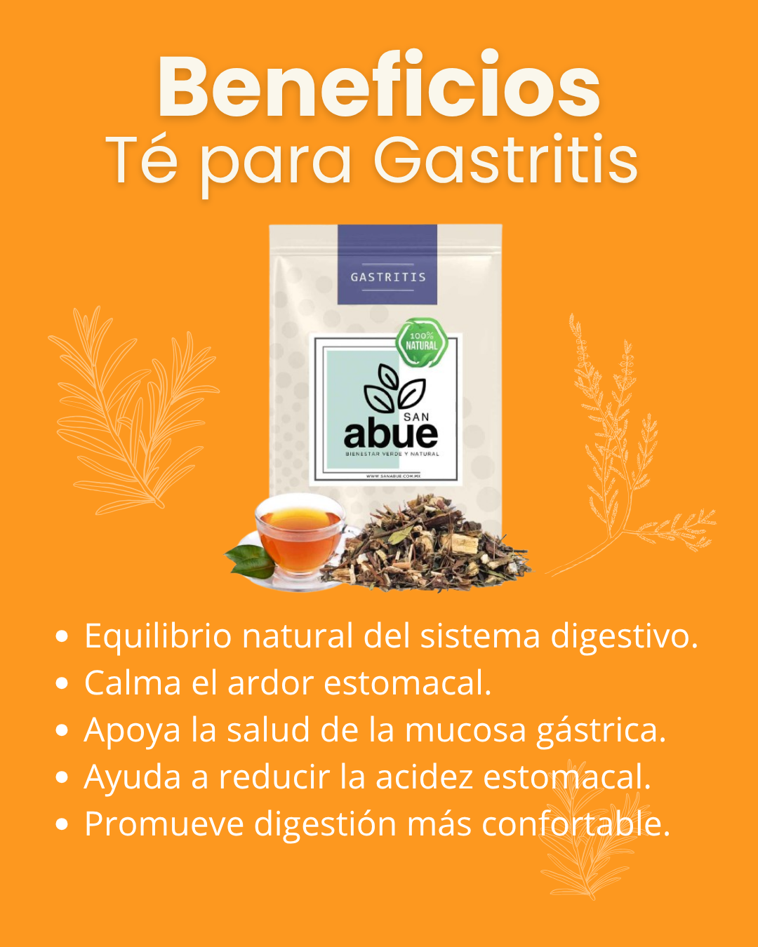 te para la gastritis y colitis beneficios